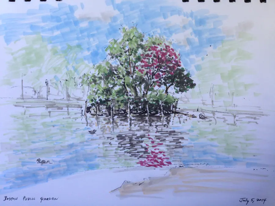 Color marker drawing of a flowering tree reflected in the Boston Public Garden lagoon