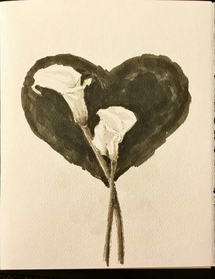 Marker drawing of two pale calla lilies against a dark heart-shaped field